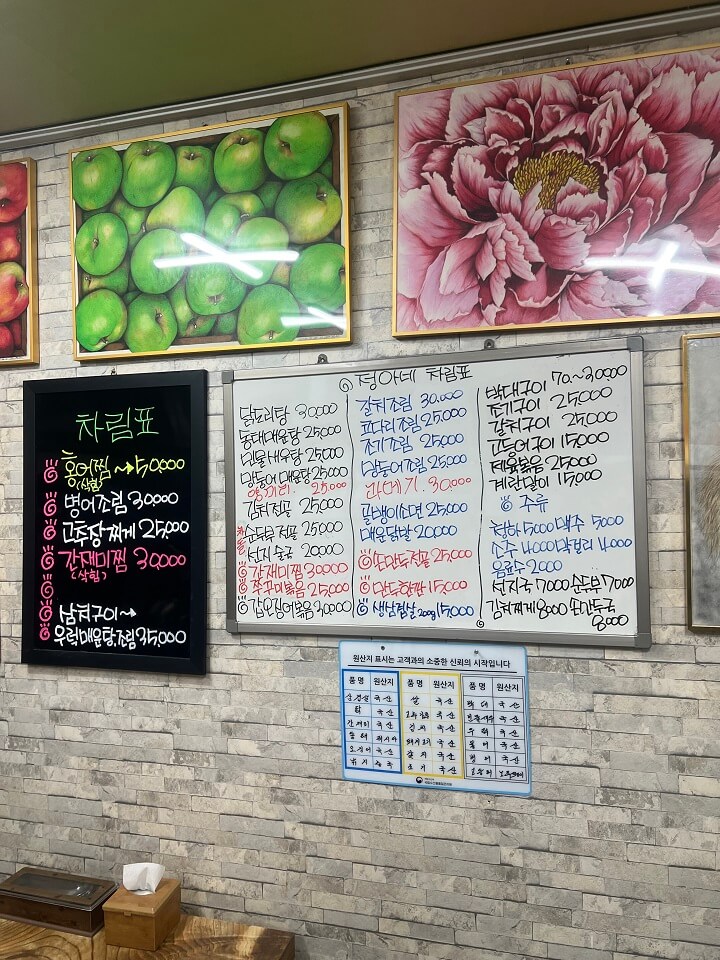 Jeonganeseonjiguk 1