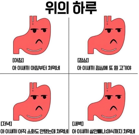  대변 모양과 색에 따른 건강 상태
