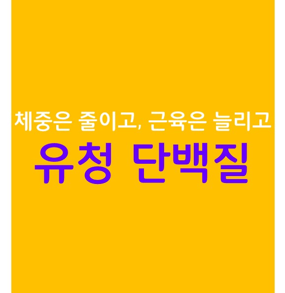  체중 감량, 근육량 증가를 원한다면? 유청 단백질을 섭취하세요