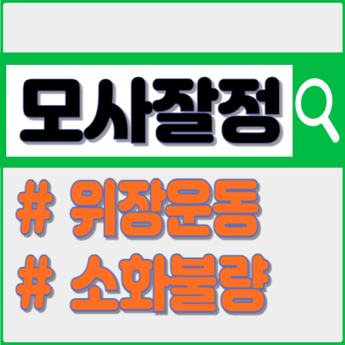 모사잘정