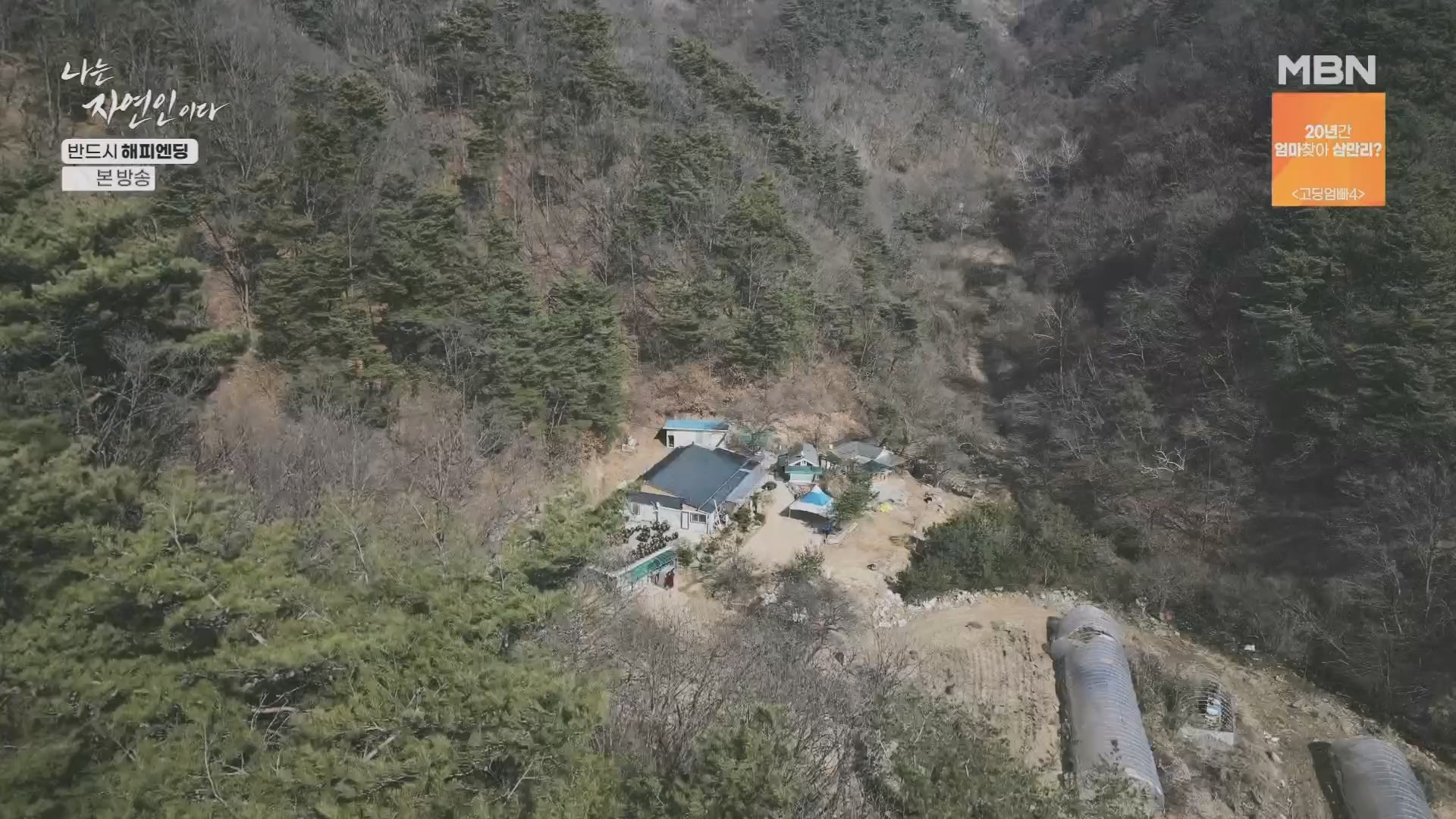 나는 자연인이다.E600.240403p.H264-F1RST.mp4_20240404_191353.292.jpg