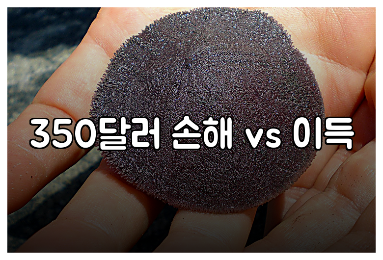 350달러 손해 vs 이득
