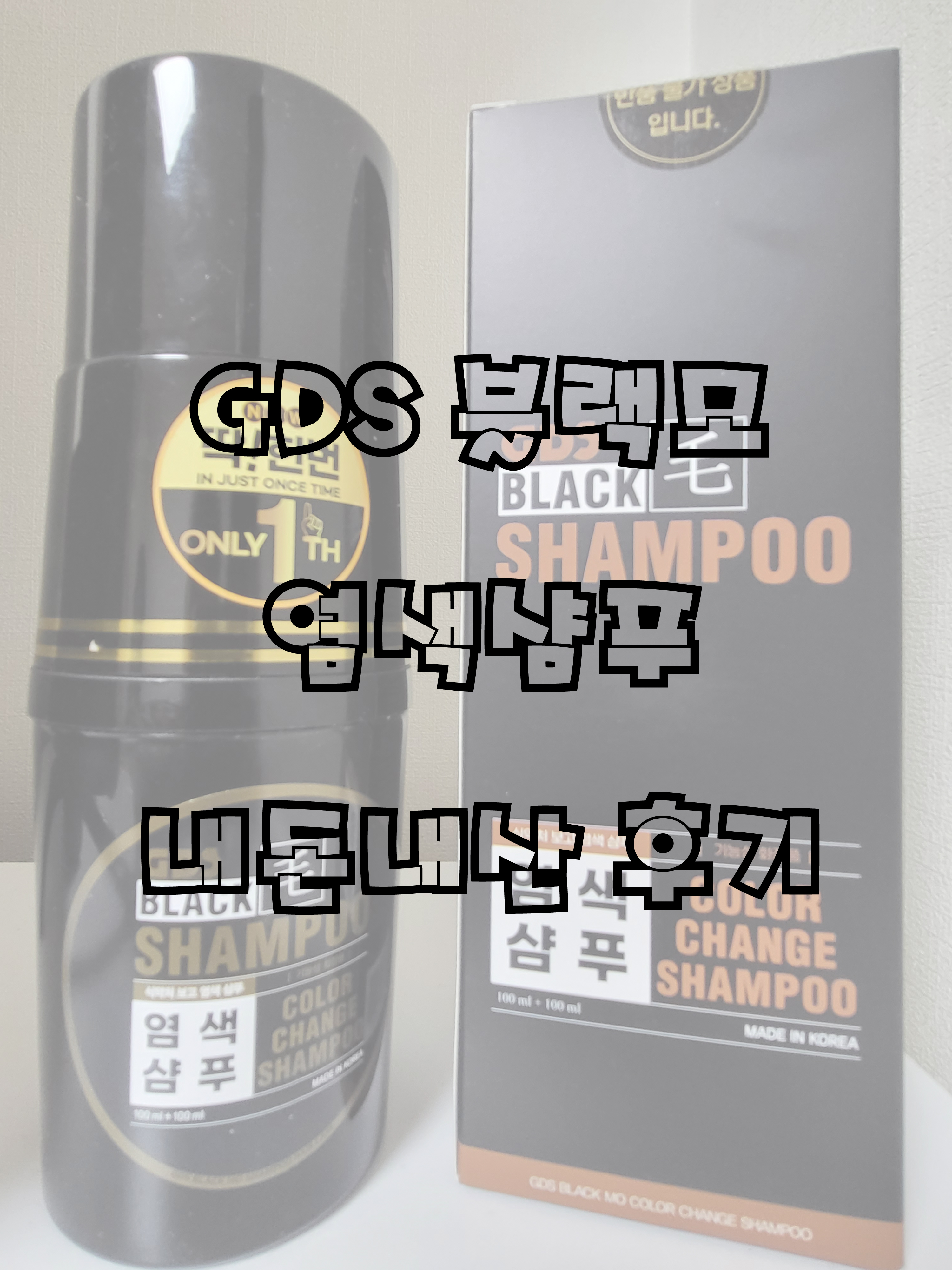  GDS 블랙모 염색샴푸 내돈내산 후기
