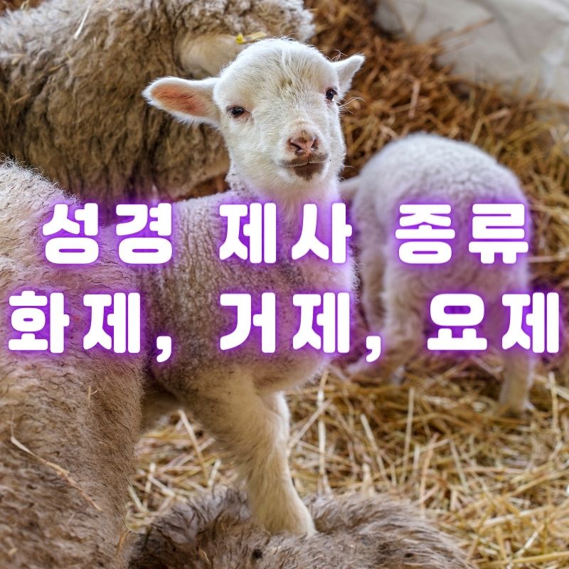 성경 제사 종류 - 화제&#44; 거제&#44; 요제