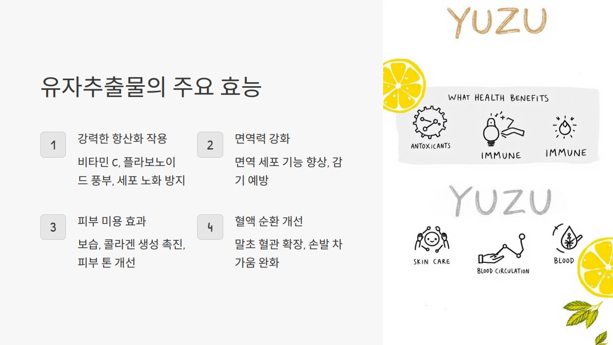 유자추출물 효능