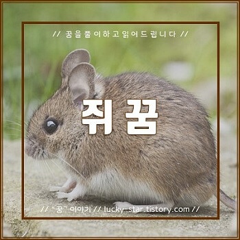  【꿈해몽/꿈풀이】 쥐 꿈