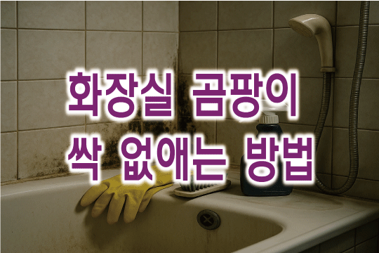 곰팡이가 가득한 화장실 모습