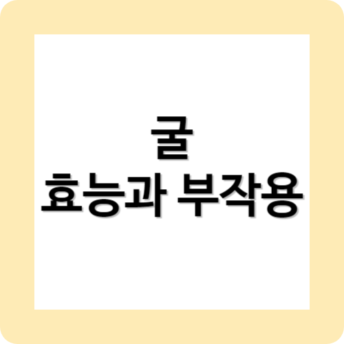 굴의효능