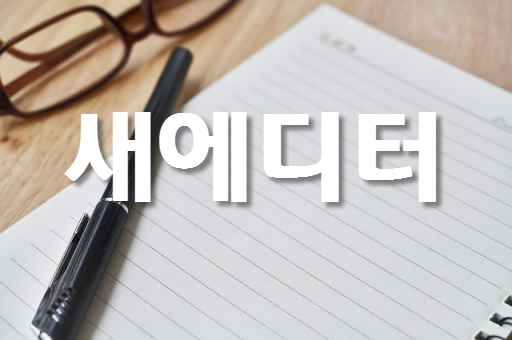  새에디터 글 작성, 여러 점검