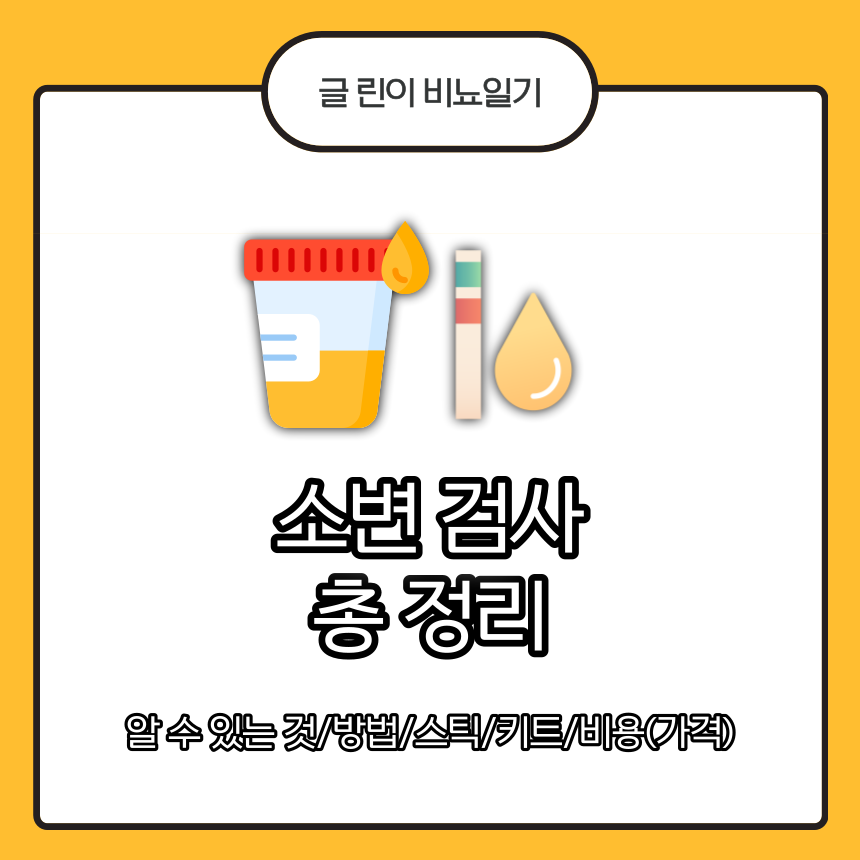  소변 검사 총 정리 : 알 수 있는 것/방법/스틱/키트/비용(가격)