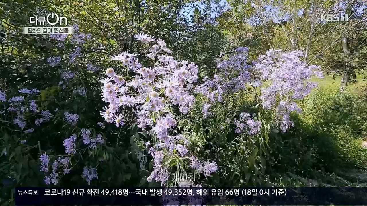 다큐 On.E172.221119p.H264-

F1RST.mp4_20221122_201820.856.jpg