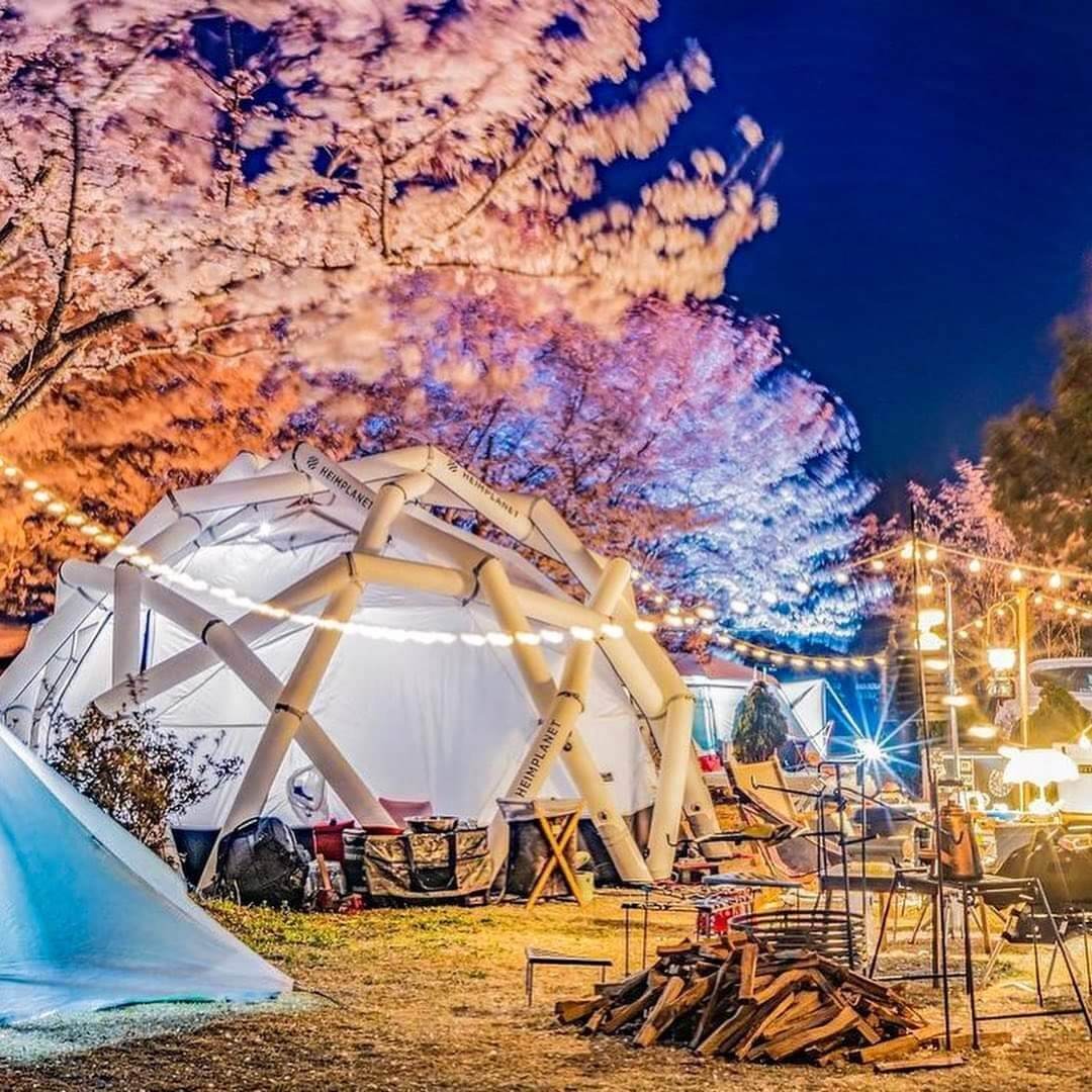 경남 산청 가볼만한곳 벛꽃 잔디 캠핑장 경호강그린캠프