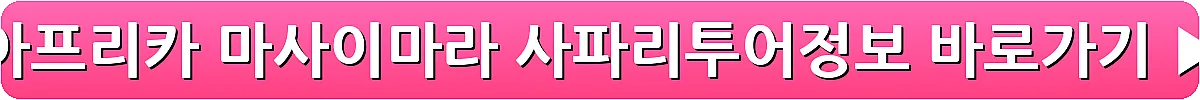 아프리카 마사이마라 사파리투어정보_20