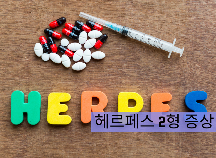 헤르페스 2형 증상