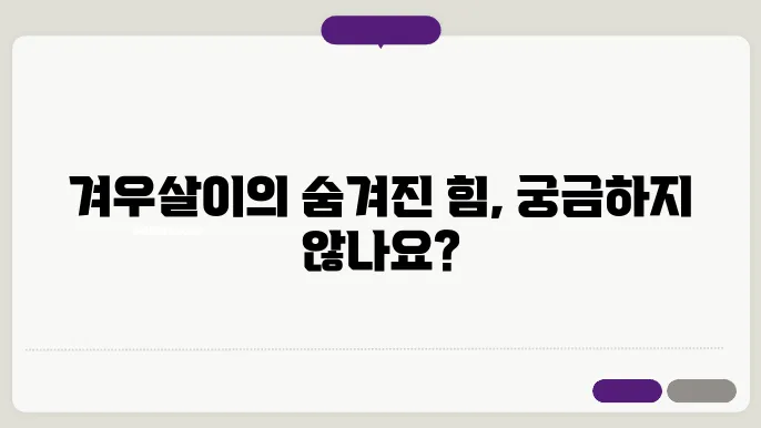 겨우살이의 건강적 활용을 알아보기
