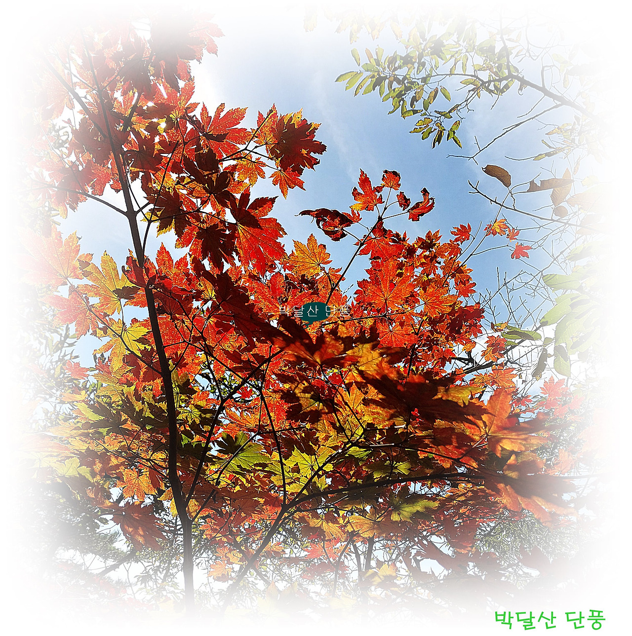 박달산 이미지