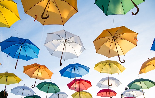 우산&#44; Umbrella