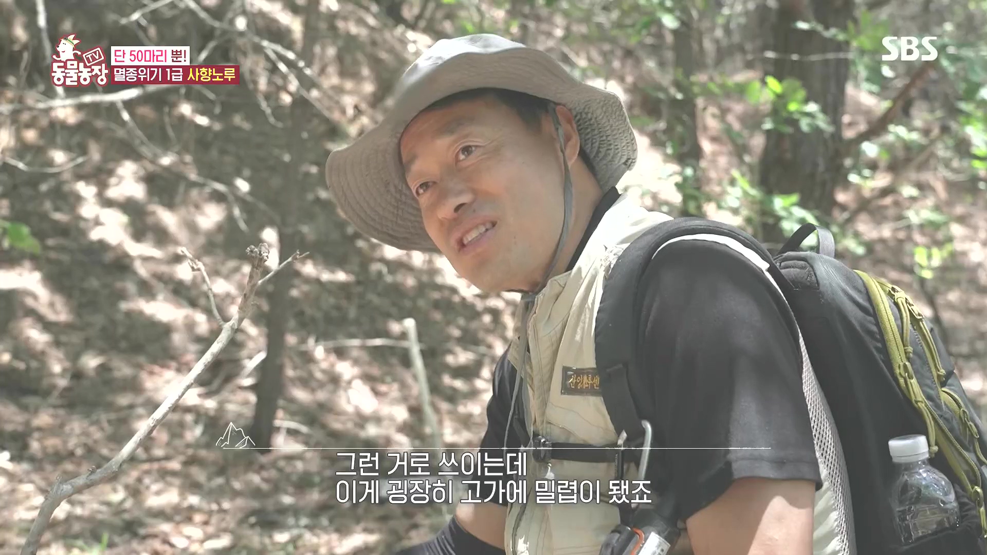 TV 동물농장.E1185.240818p.H264-F1RST.mp4_20240818_161002.998.jpg