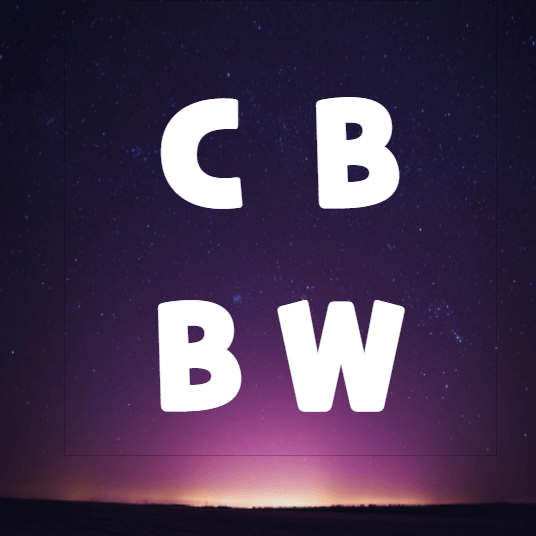  CB(전환사채)/BW(신주인수권부 사채)