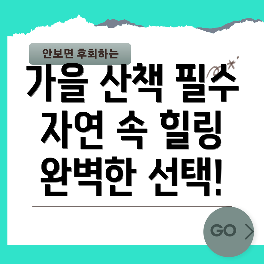 문광저수지 은행나무길