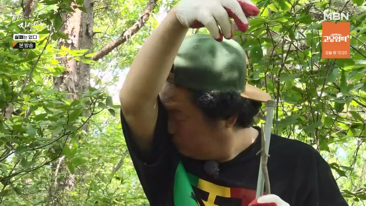 나는 자연인이다.E567.230817p-NEXT.mp4_20230817_202916.531.jpg