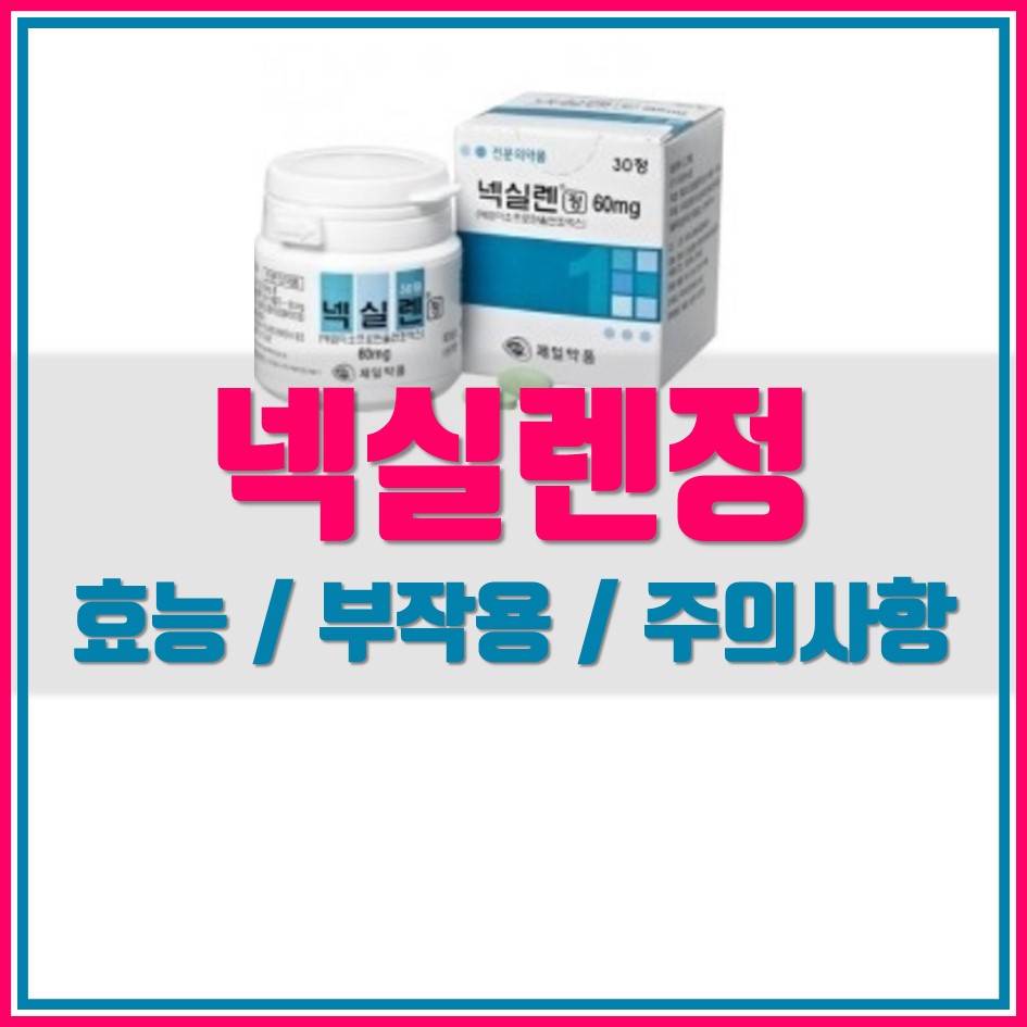  넥실렌정 의약품 정보