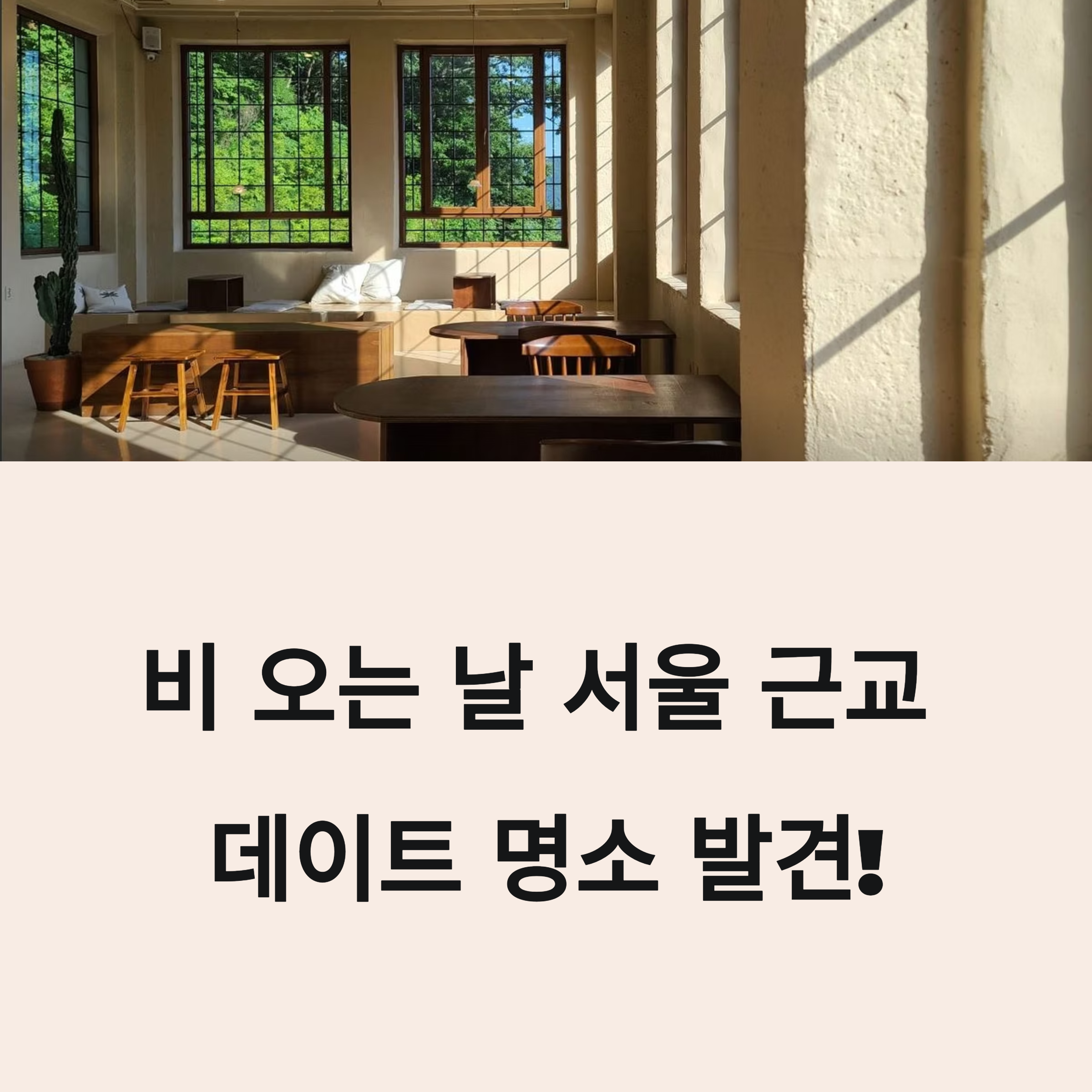 텍스트 이미지