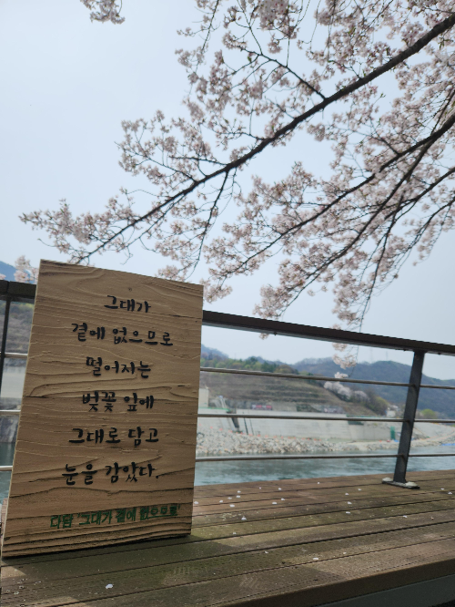 충주댐-순환-산책로