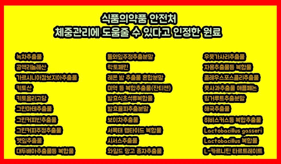  다이어트 보조제 순위 TOP7 (2023)