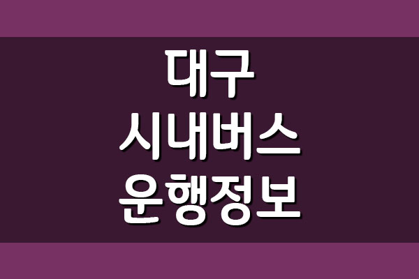  대구 시내버스 시간표와 요금표