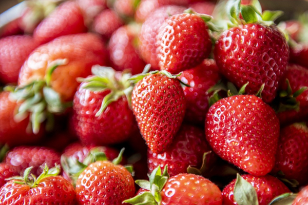 딸기효능 - 다이어트 효과1