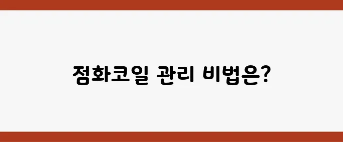 코일 이미지