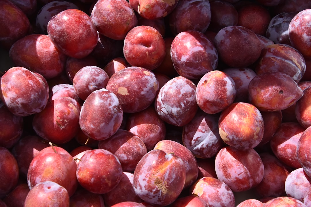 Plum