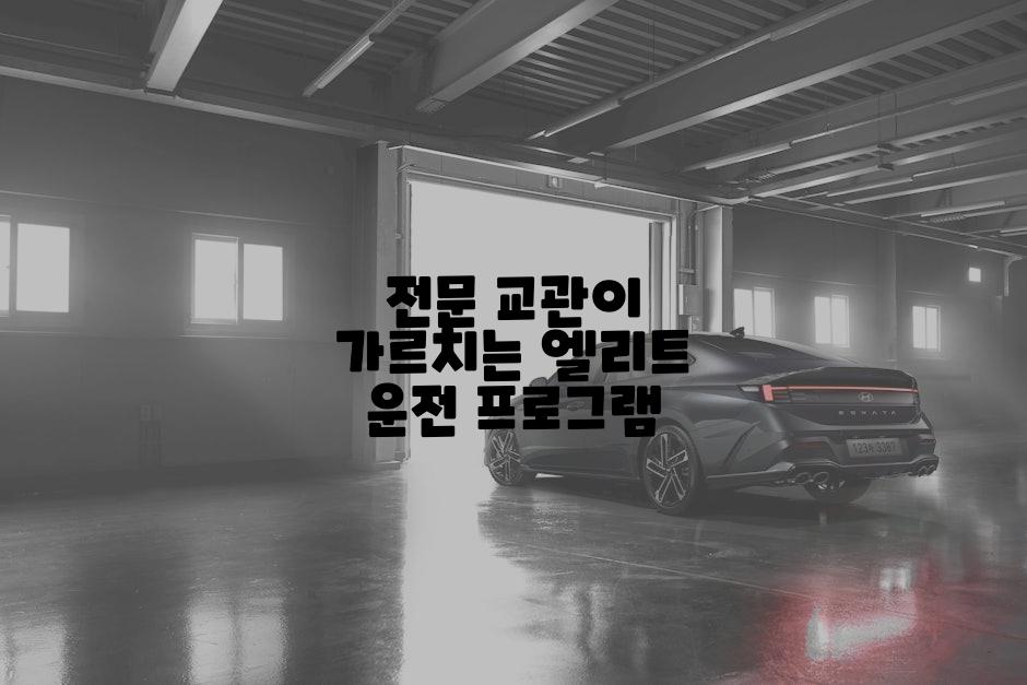 전문 교관이 가르치는 엘리트 운전 프로그램