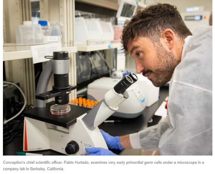  모든 연령의 여성이 가임 가능?...세계 최초 '랩 수정란' 기술 California biotech startup aims to make lab-grown BABIES and believes...