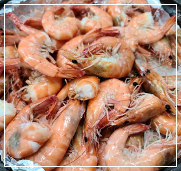 약암 새우양식장 새우