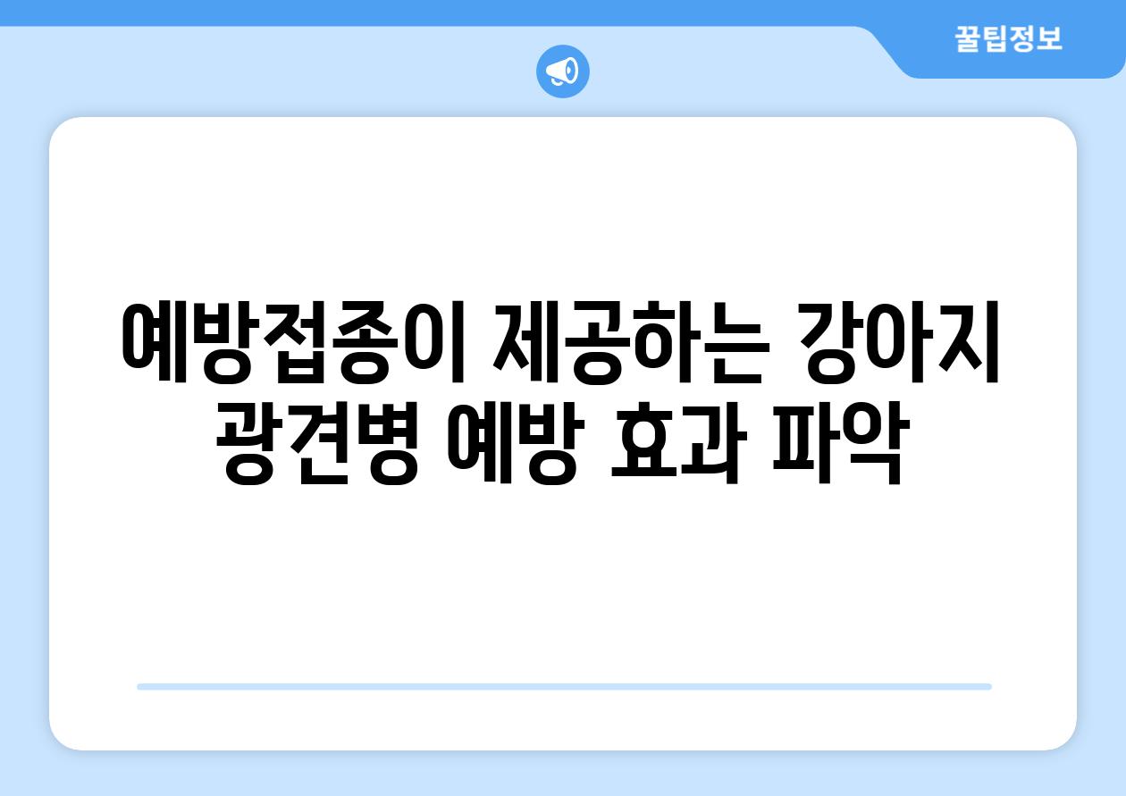 예방접종이 제공하는 강아지 광견병 예방 효과 파악