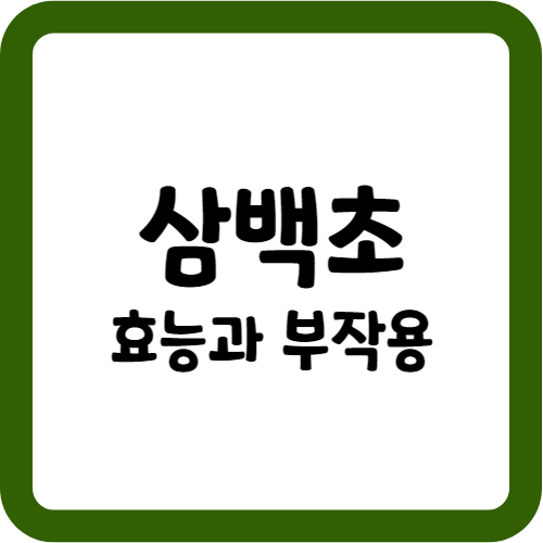삼백초의 효능과 부작용