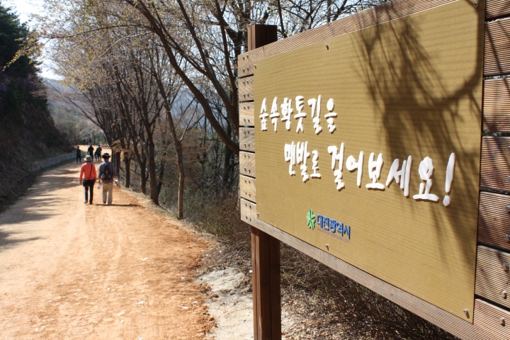 숲속황톳길 맨발로 걷기