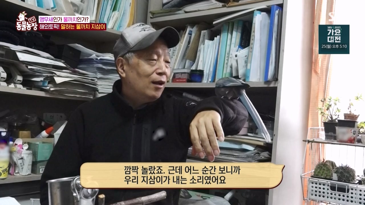TV 동물농장.E1150.231218p-NEXT.mp4_20231217_171355.556.jpg