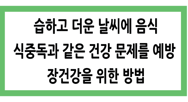 Alt 속성 문제 해결 설명 이미지