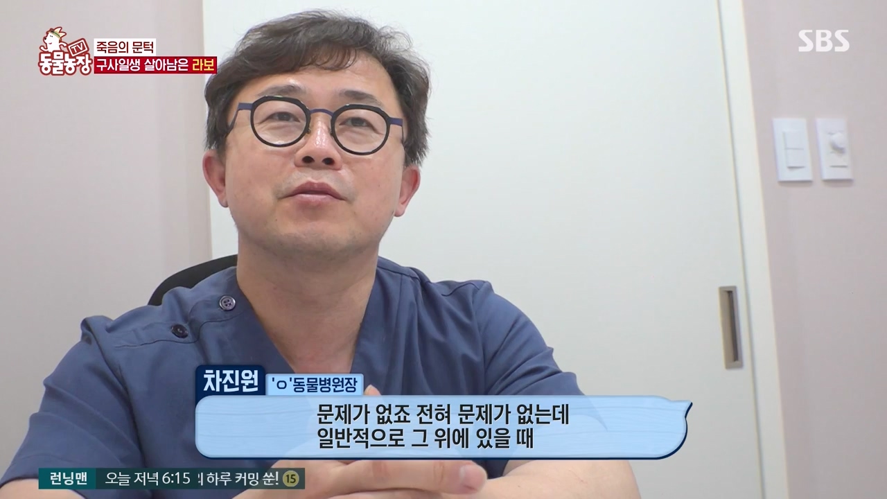 TV 동물농장.E1133.230814p-NEXT.mp4_20230813_171352.940.jpg