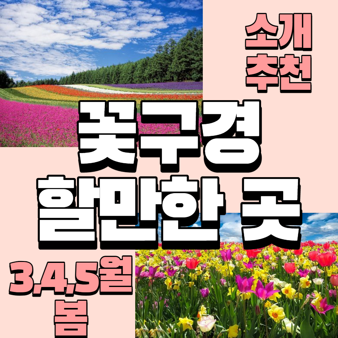  4월, 5월 봄 꽃구경 할만한 곳_ 국내여행지 베스트 꽃축제 추천 관광지