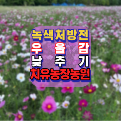 녹색처방전-우울감 낮추기-치유농원-치유농업프로그램-치유농장-치유농원-치유농업시설-치유농업법-장소-시간-가는길-안내