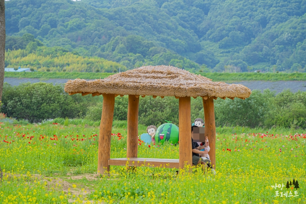 함안 악양 둑방길 데이트