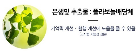 은행잎추출물_플라노볼배당체