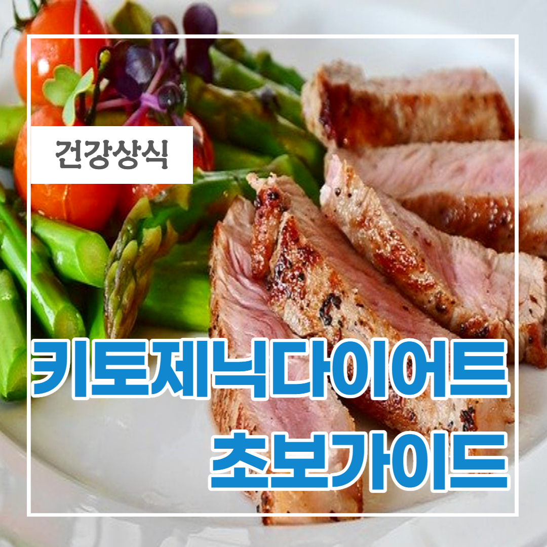  키토제닉(Ketogenic) 다이어트 초보가이드