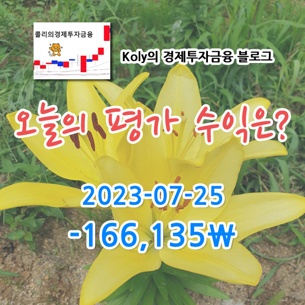 2023-07-25 콜리의 주식계좌 평가손익