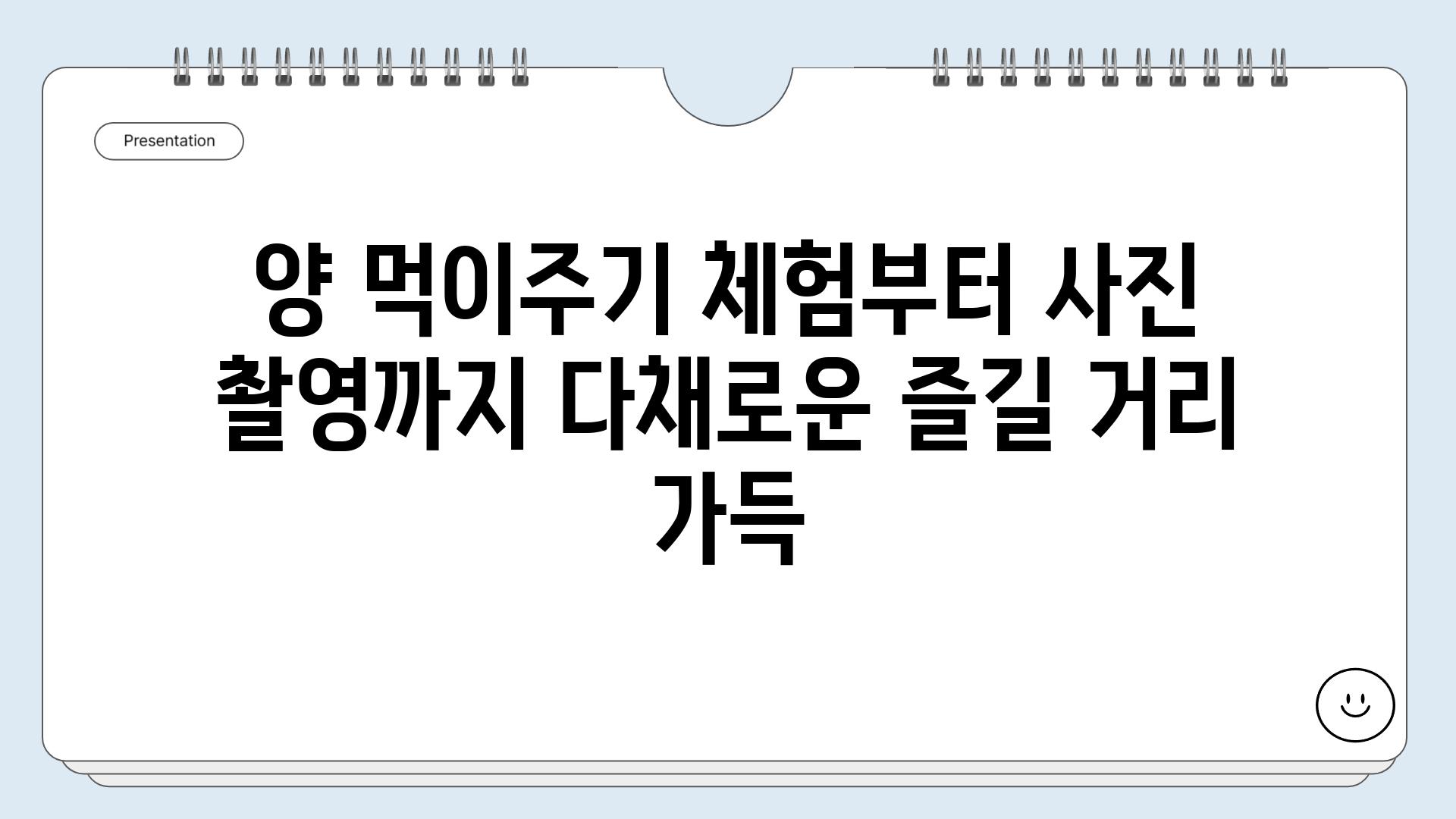 양 먹이주기 체험부터 사진 촬영까지 다채로운 즐길 거리 가득