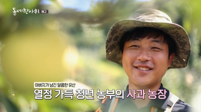 동네한바퀴-예천-사과농장